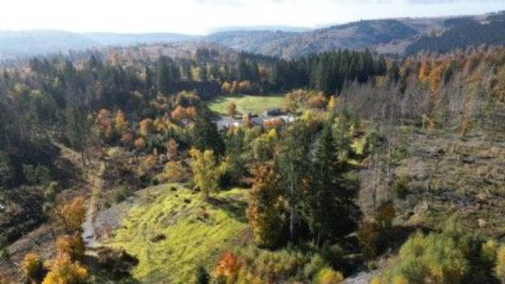 Camping auf dem Fellberg zwischen Schieferhalden
