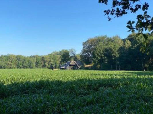 Stall Hohenheide - ruhige Idylle an der Hessel
