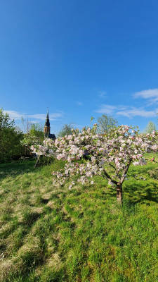 Nature, art and culture in Weimar Land