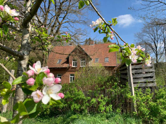 Unsere schönste Wiese mit Talblick und viel Platz (Campspace 25601)