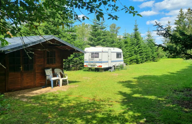 Alpaca Nature Camp