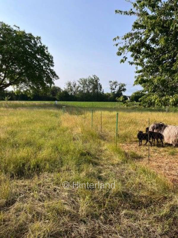 Übernachtung auf der Sheepdog Ranch