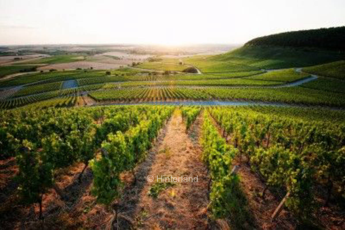 Family winery in Franconia: romantic courtyard