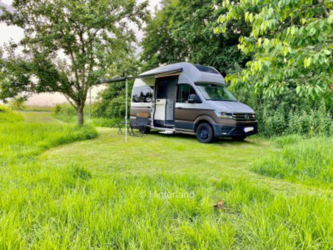 Obstwiese hinterm Nordseedeich