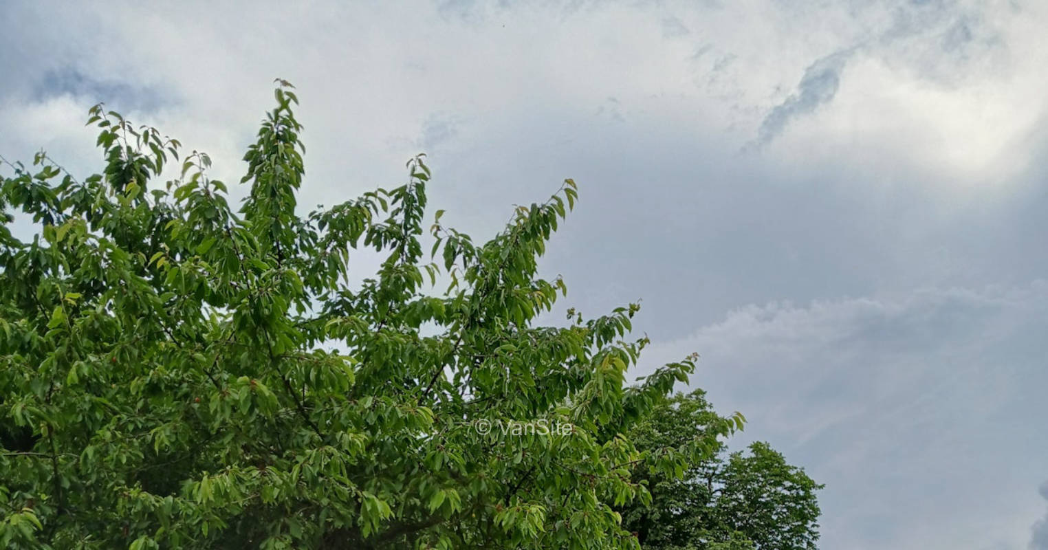 Spotters Place- Flugzeuge, Ponies und Co.