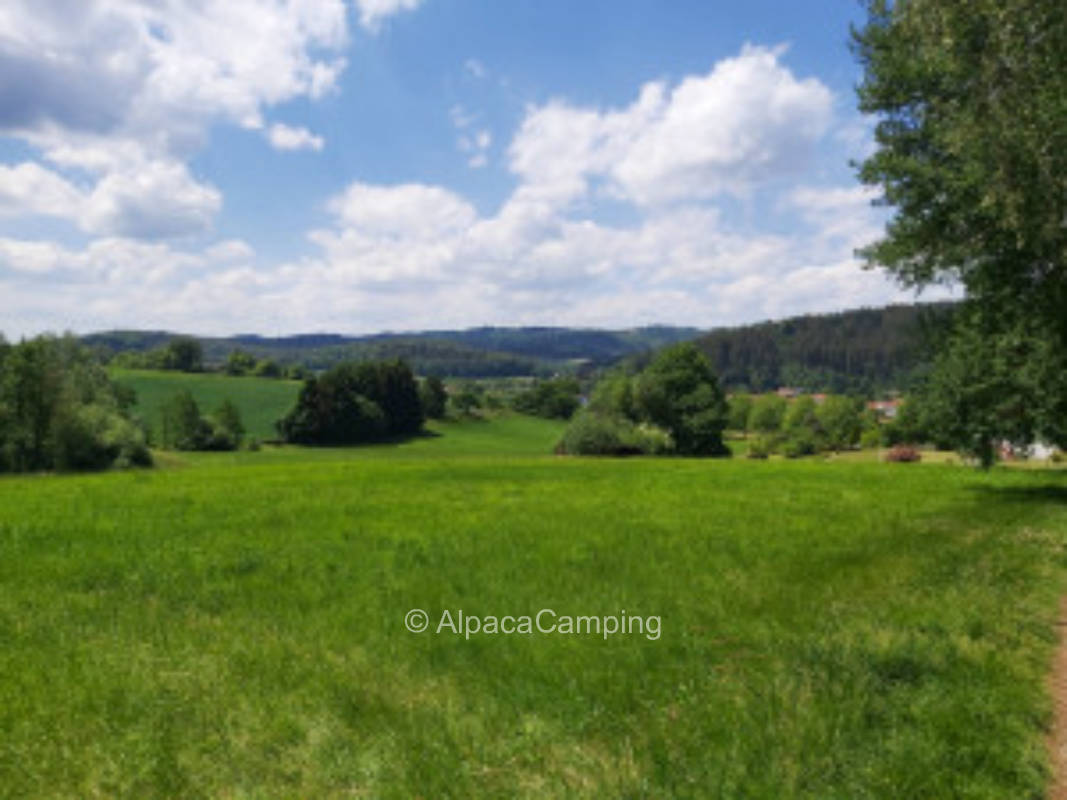 Pitch in the Odenwald village Grasellenbach OT Wahlen directly on the edge of the forest #1