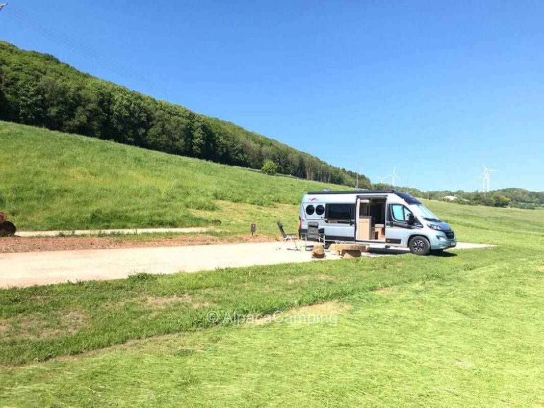 paved pitch no. 3 "at the sandstone".