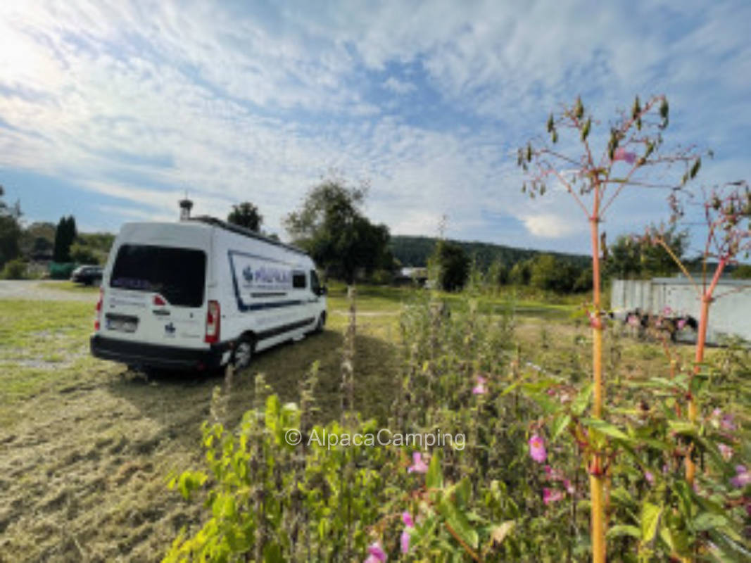 Camping at the farm Unter Laubegg in Bodman-Ludwigshafen