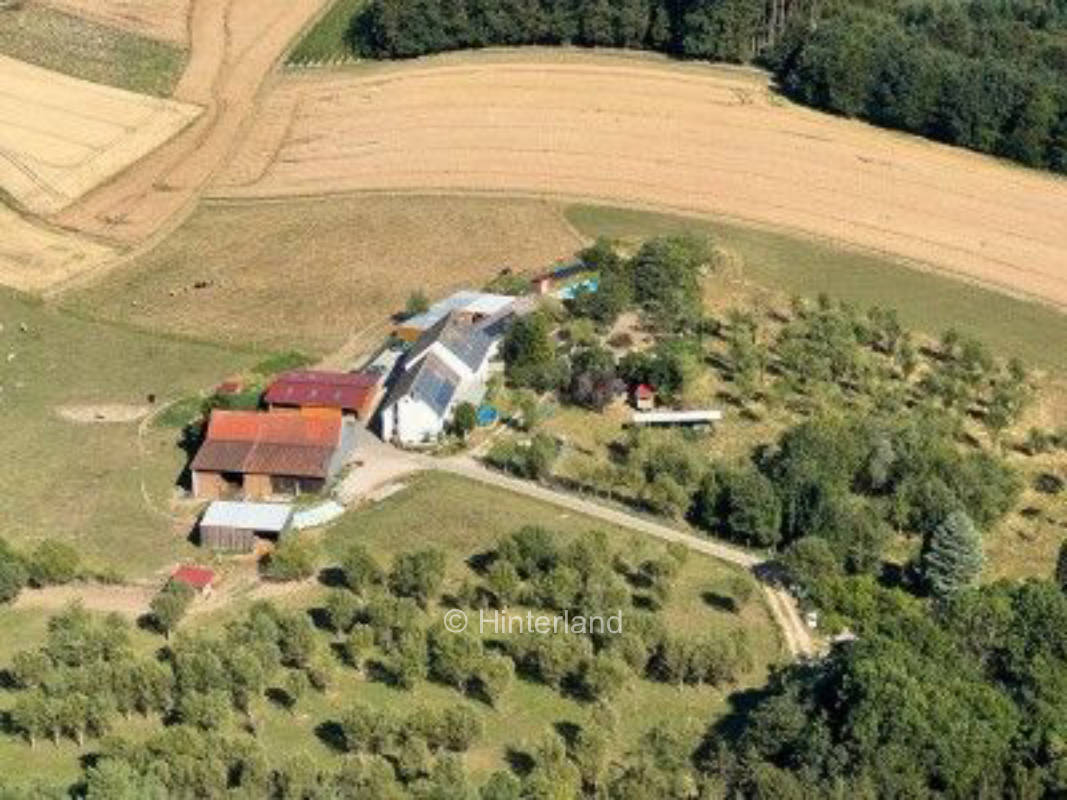 Neben der Kuhweide in Oberbayern 