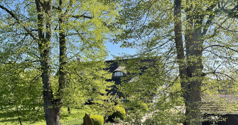 at the Münchhof (listed historic timber-framed house in the Altes Land)