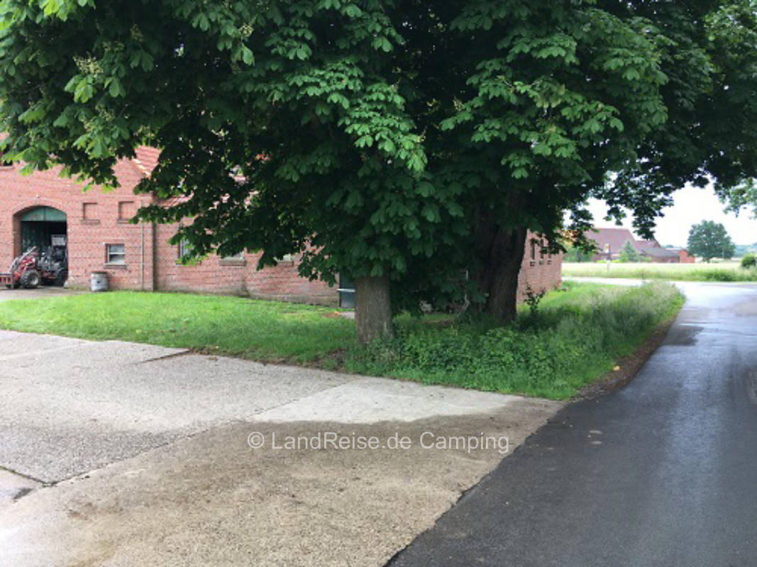 Campen unter den Kastanien