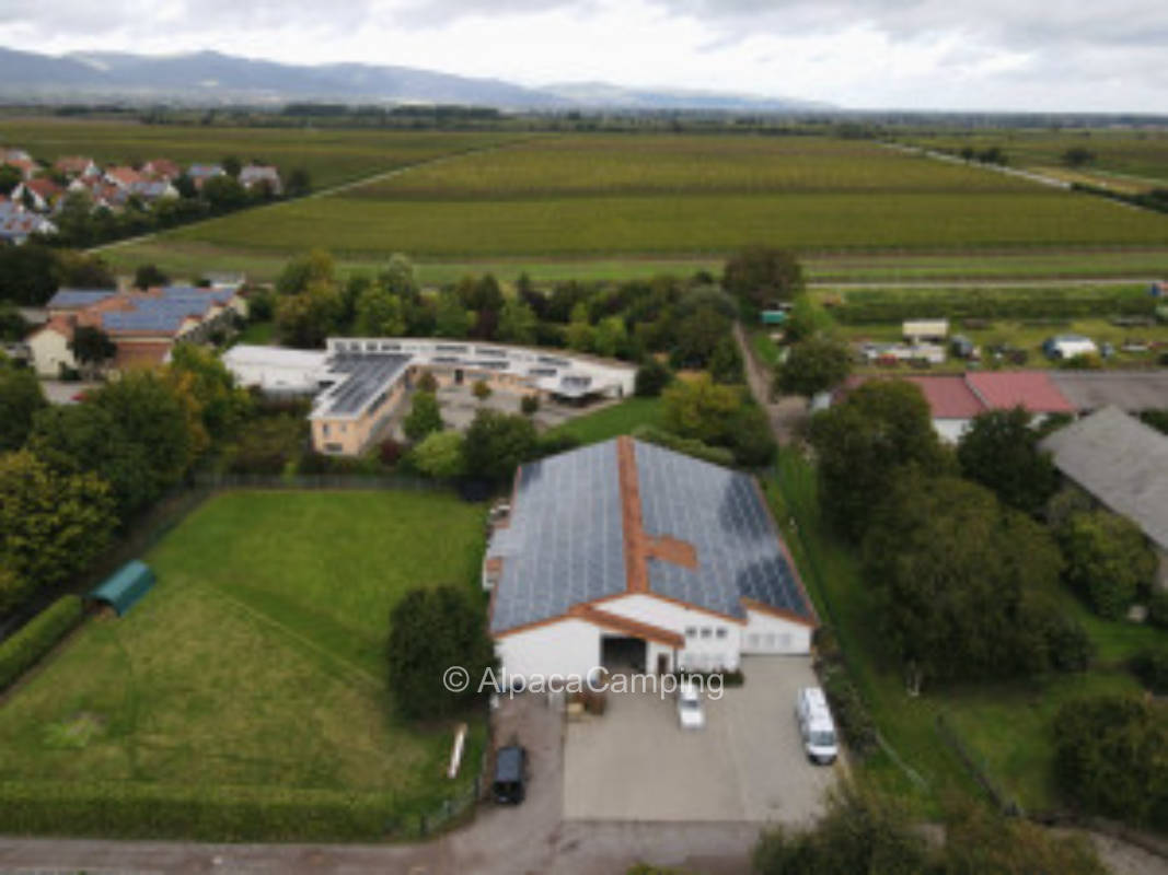 Im Grünen, nahe des Weinbergs #2