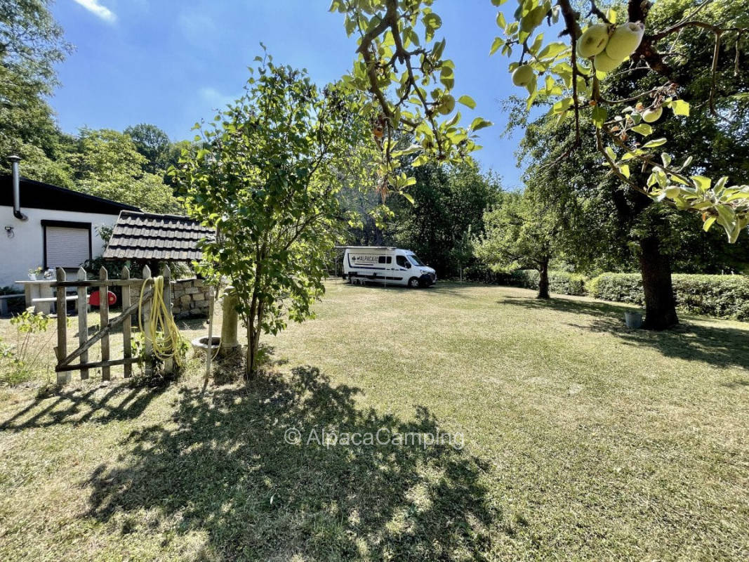 Pitch near Spreewald #1