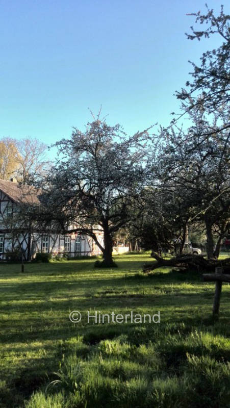 Urlaub im "Garten Eden" im Naturpark Peenetal