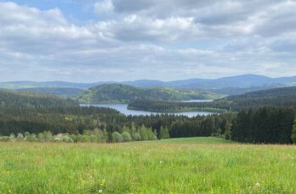 Panoramablick Viechzig