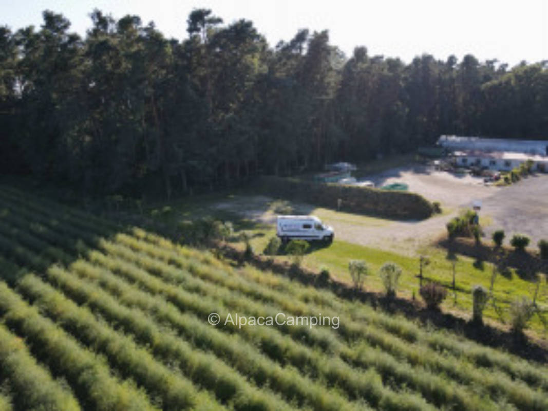 Stellplatz mit Blick auf's Feld #2