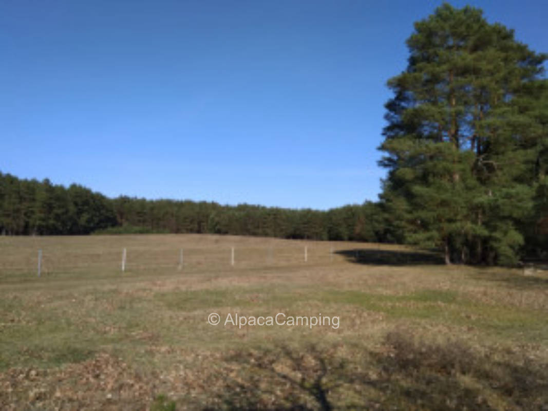 Nature camping at the horse farm #3