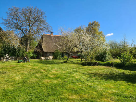 Camping in the fruit orchard