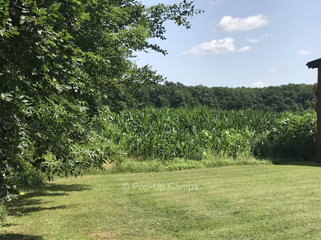 On the farm in Telgte in beautiful Münsterland