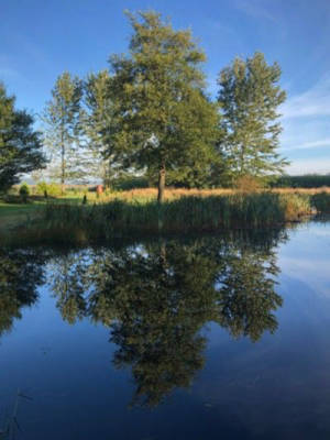 Camper paradise in Give: nature, peace and comfort
