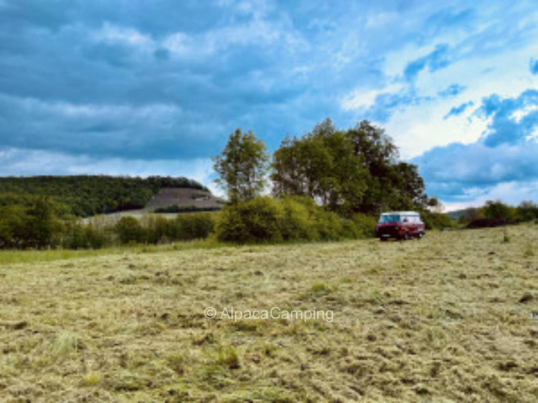 In a meadow at the foot of Herrenberg's #3