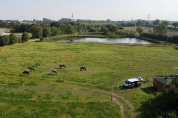 Wiesen Camp on the Farm