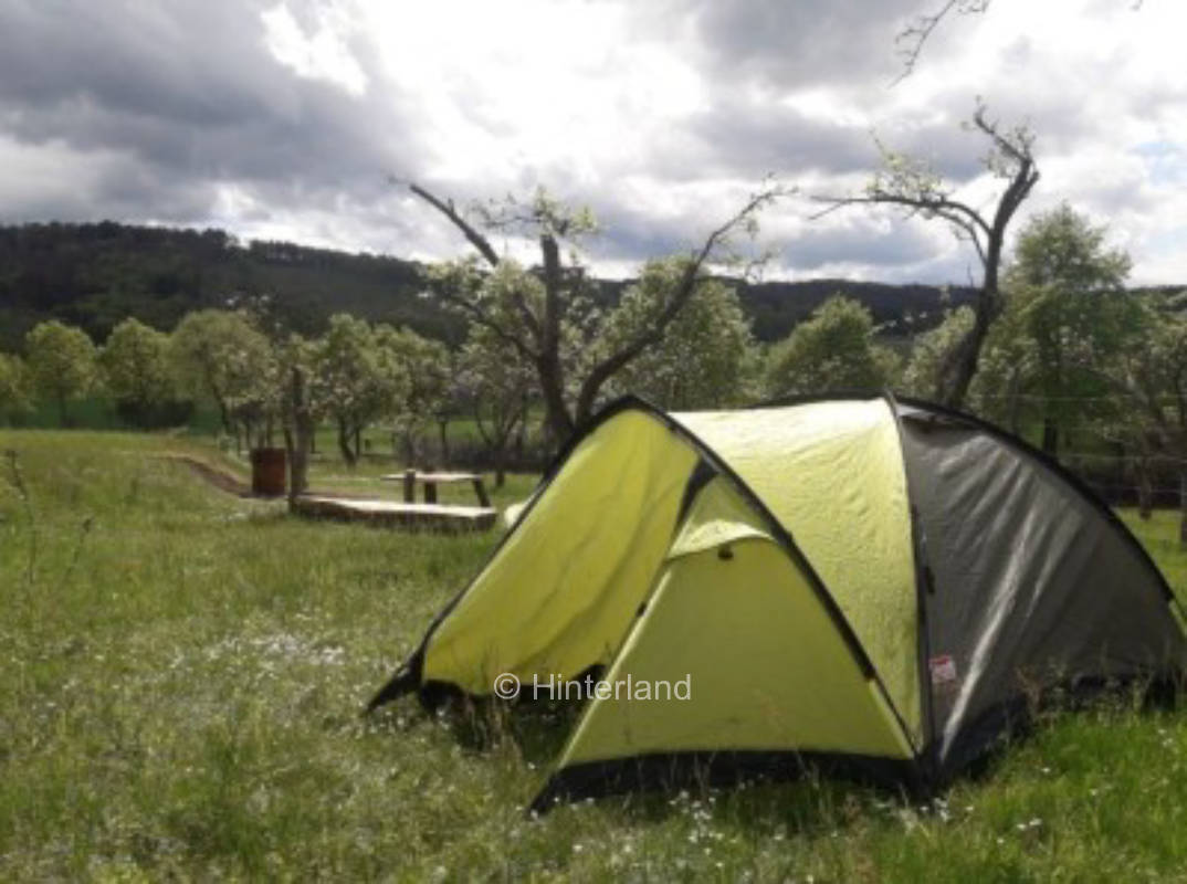 Tent meadow in apple forest