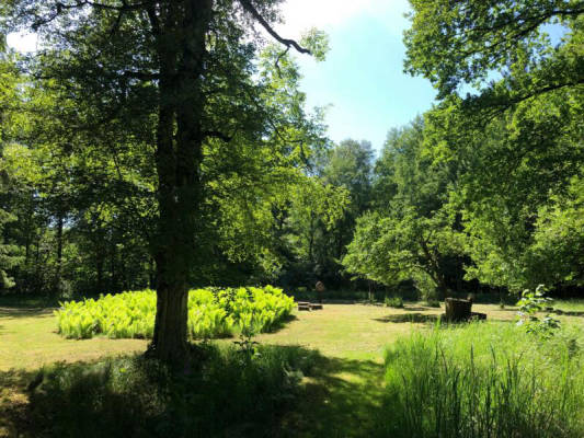 Campen auf der Wiese am Bach (Campspace 7131)