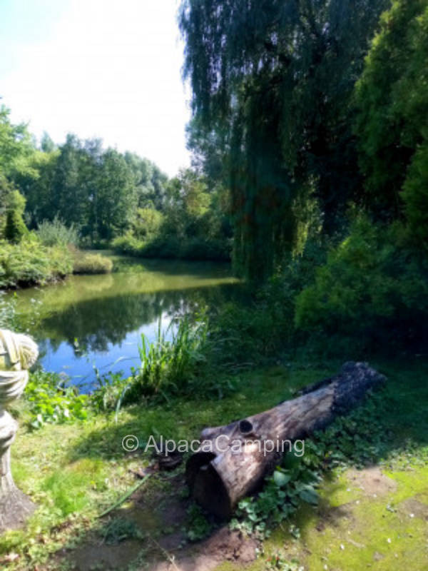Seeblick #2