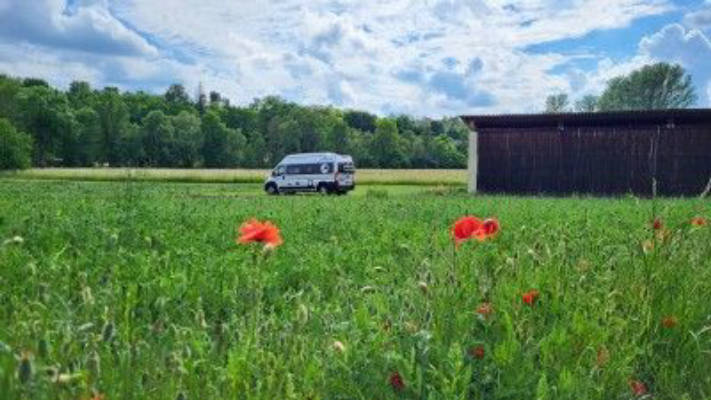 Time out at a disused farm