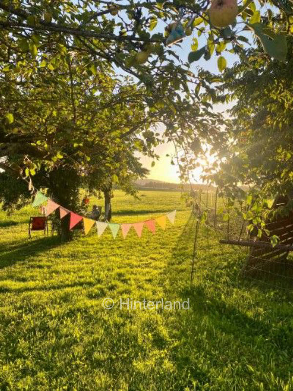 Green, idyllic meadow in beautiful Middle Franconia