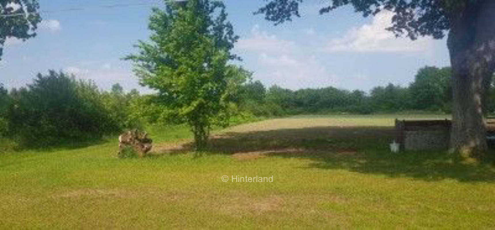 Pitch in nature on farm in isolated position