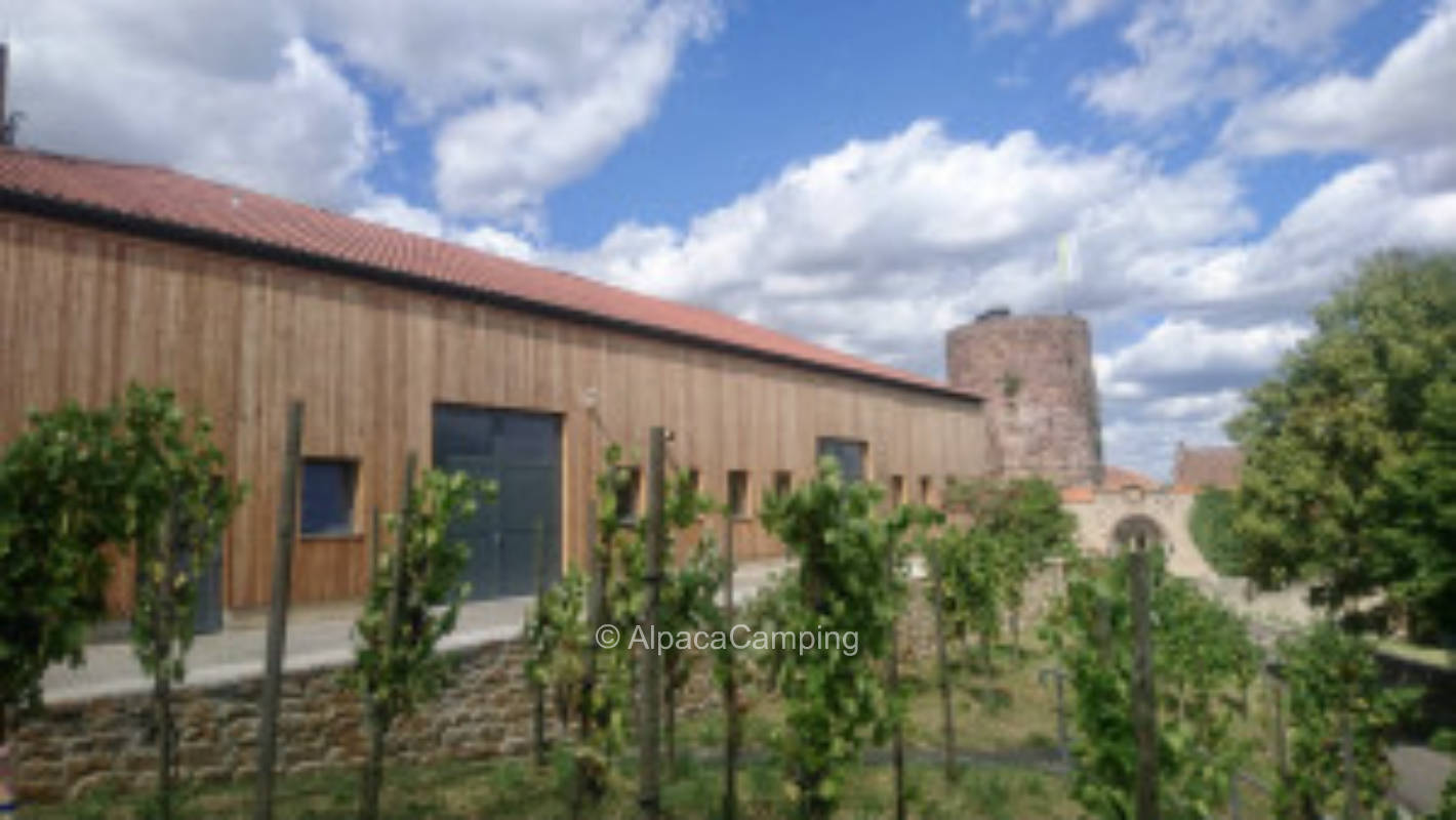 Bioweingut an der Burg Schloss Saaleck #1