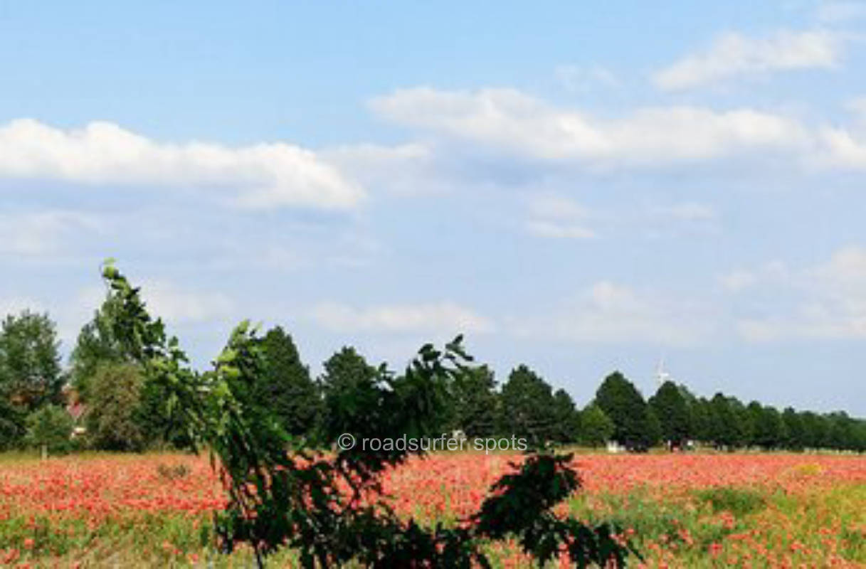 Natural and Original in Jerichower Land