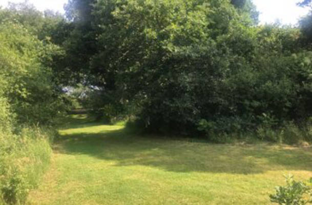 Idyllischer Platz nahe der Ems