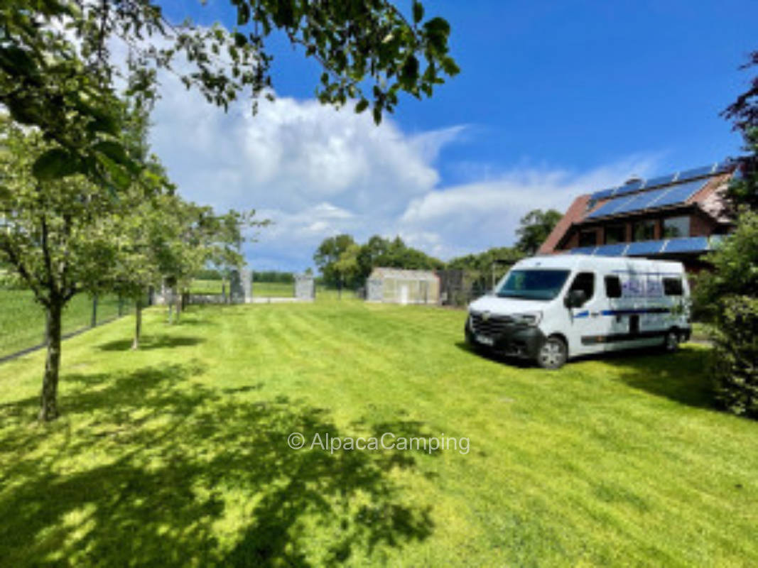 At the deer meadow #7