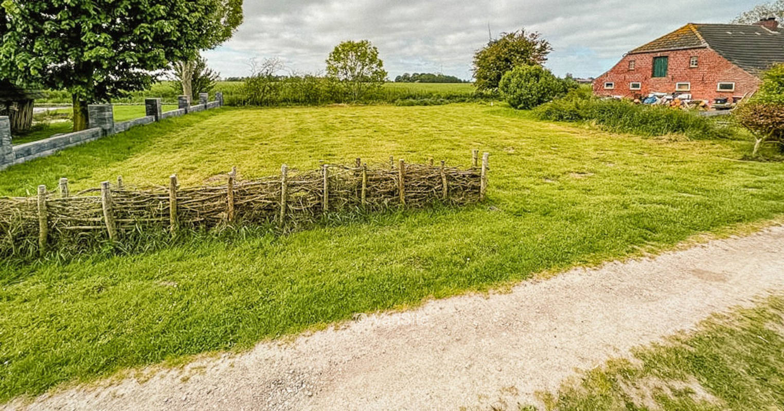 Meadow on dike