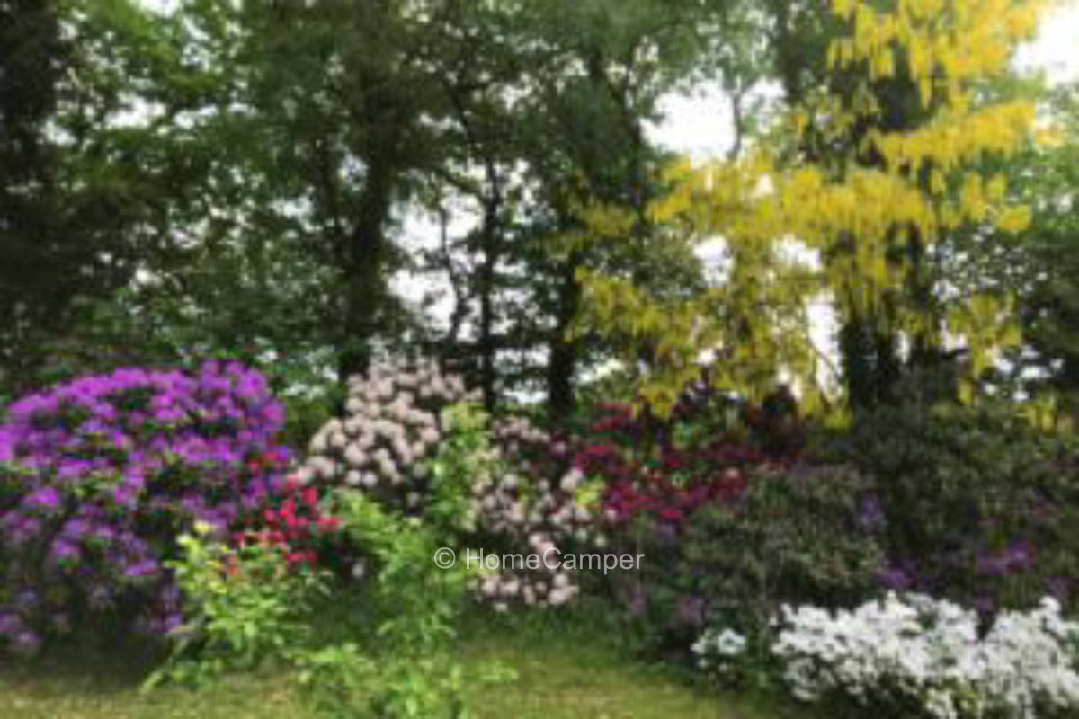 Privater Platz in Schloß Holte-Stukenbrock