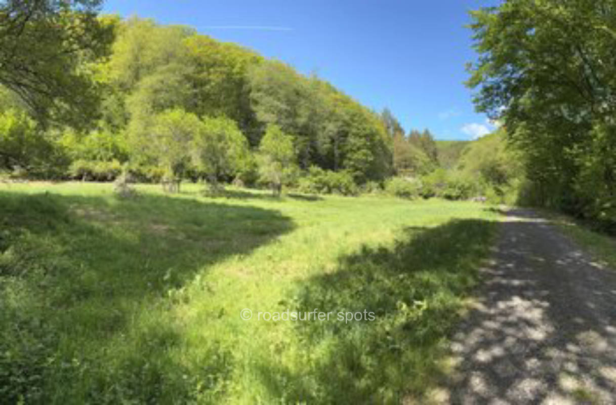 Wald Camping am Bienenhaus 