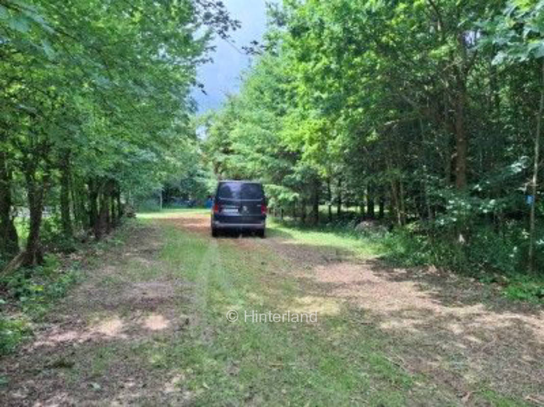 Baumparadies - Natürliche Camper Oase