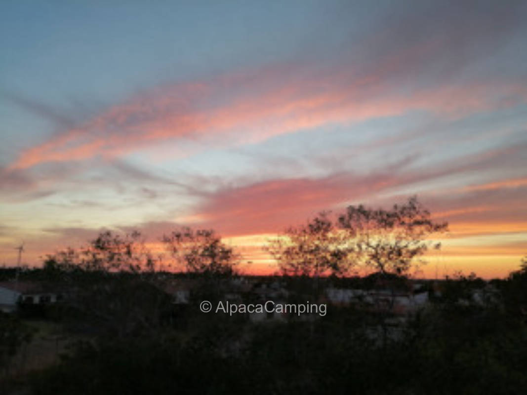 Geteilter Stellplatz La Jauja in El Palmar de Vejer de la Frontera #2