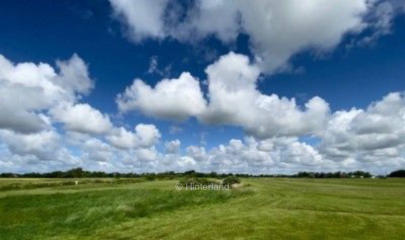 Marschland-Weitblick vor Sankt Peter-Ording