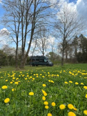 Absolute Ruhe am Waldrand mitten in der Natur