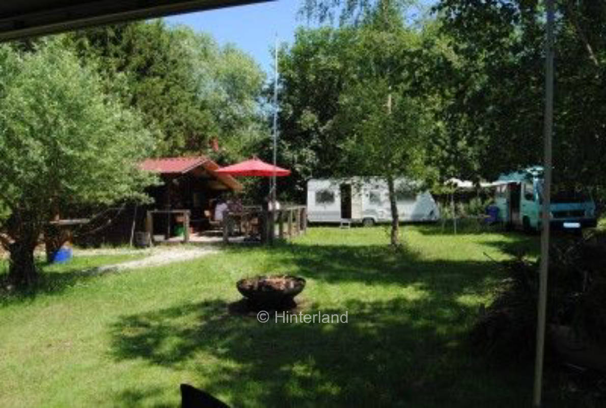 Alpaka-Auszeit - umrandet von Wiesen und Bäumen