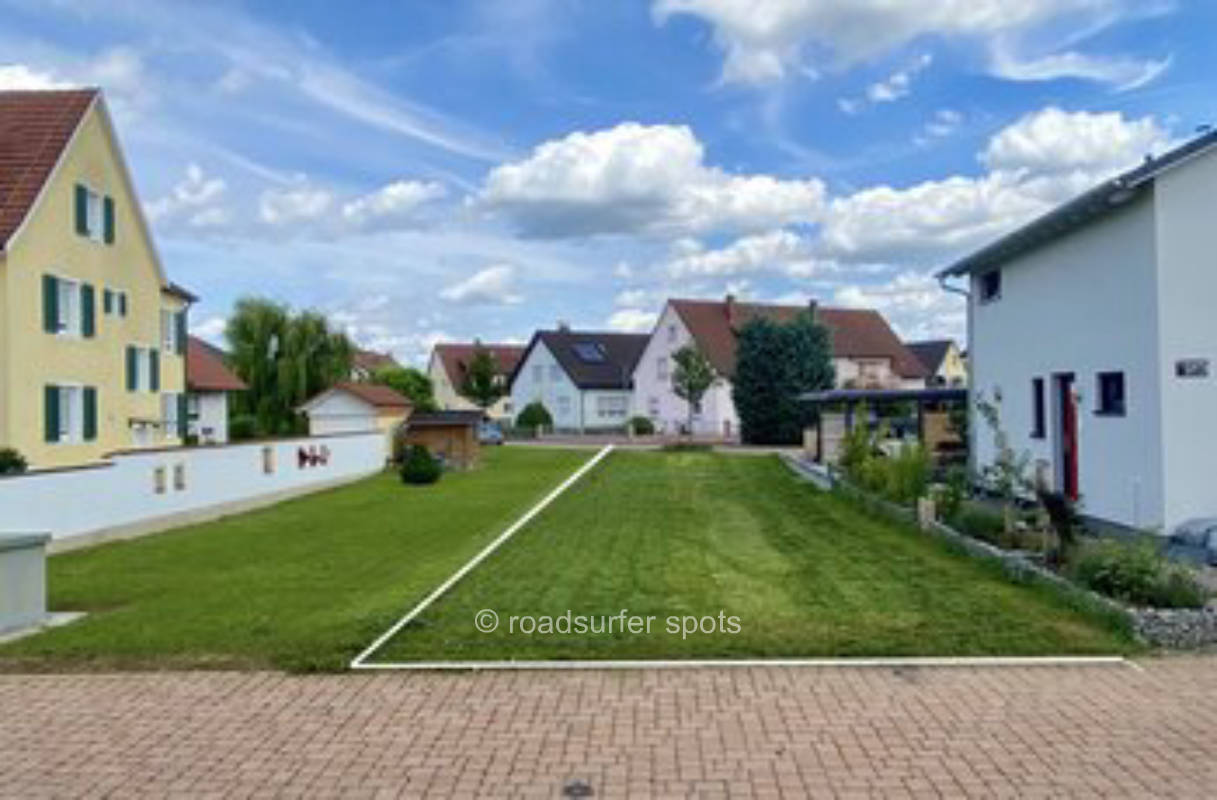 Wiese zwischen Rhein und Reben