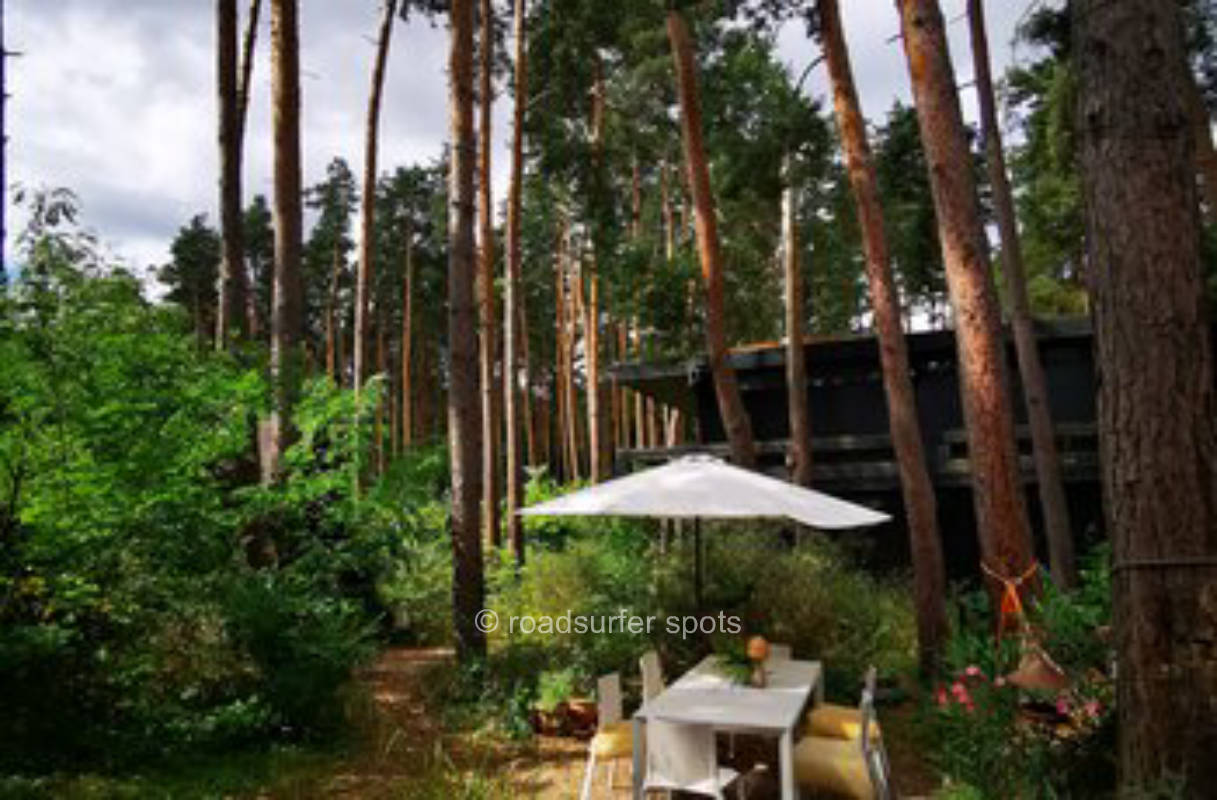 Kiefernwäldchen mit Ton, Herz und Privat Café