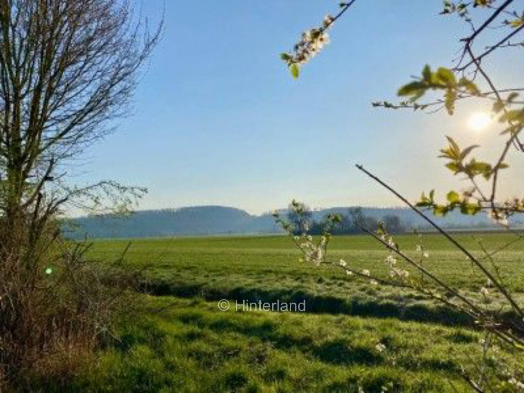 Auf dem Pferdehof zwischen Harz und Weserbergland 