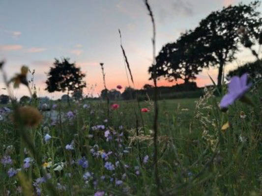 Quiet idyllic farmstead among meadows