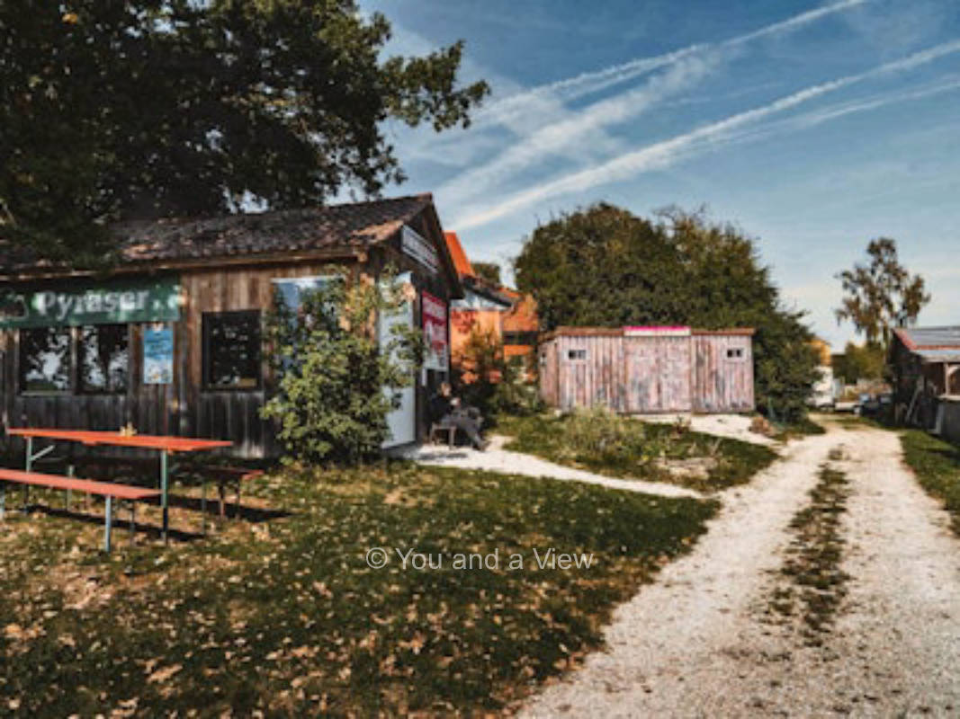 Stellplatz mitten auf der Straussenfarm