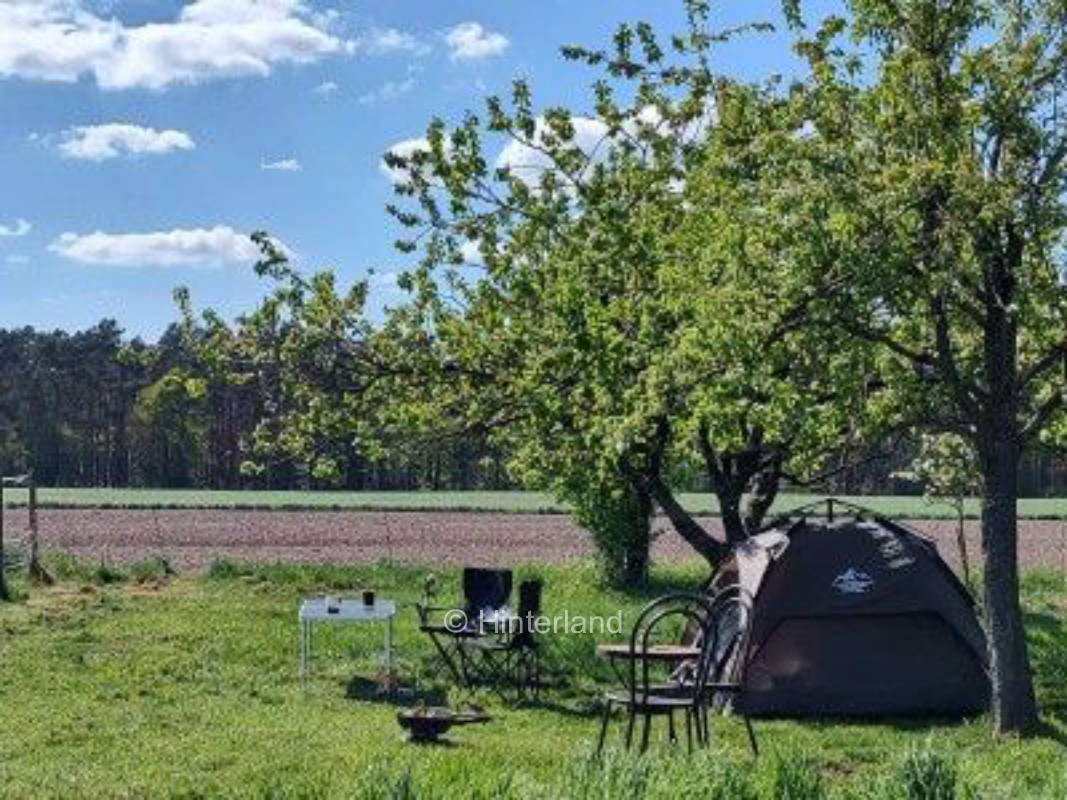 Cute campsite on small fruit meadow